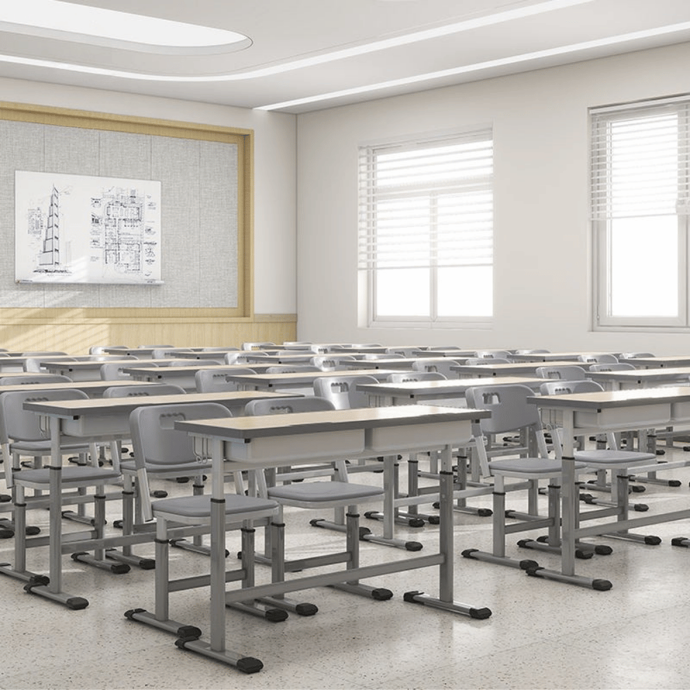 Frolic Adjustable Student Desk and Chair Set