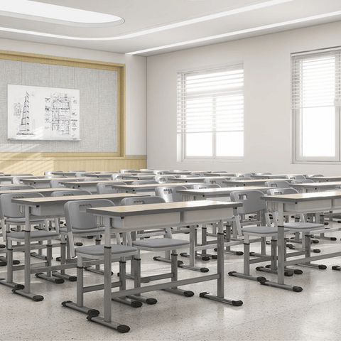 Frolic Adjustable Student Desk and Chair Set
