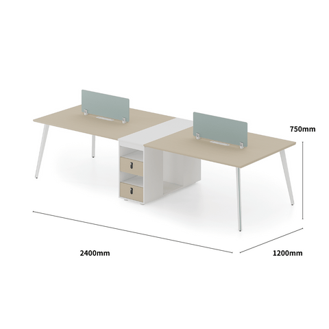 Shine-A Office Desk Metal Frame Workstation with Storage Cabinet