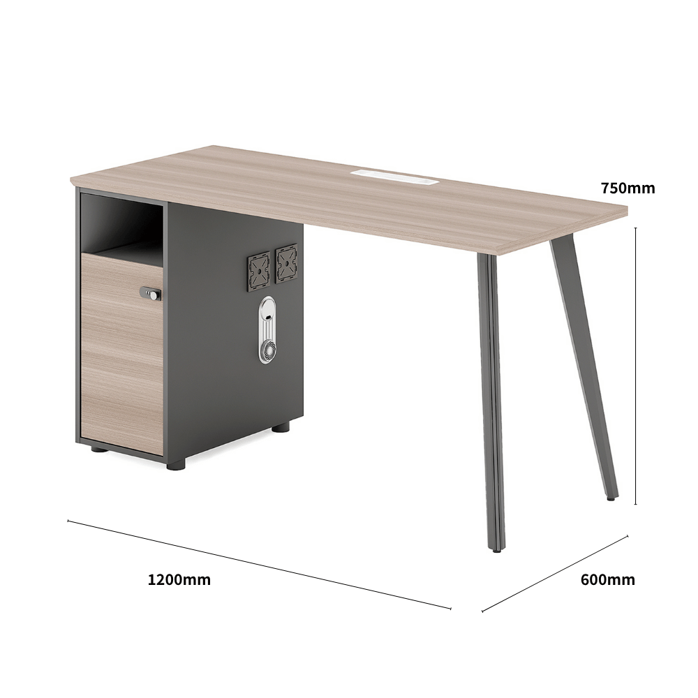 Shine-A Office Desk Metal Frame Workstation with Storage Cabinet