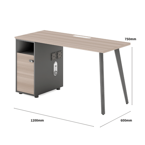 Shine-A Office Desk Metal Frame Workstation with Storage Cabinet