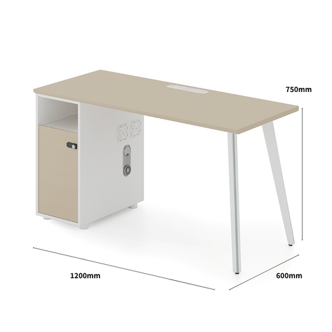 Shine-A Office Desk Metal Frame Workstation with Storage Cabinet