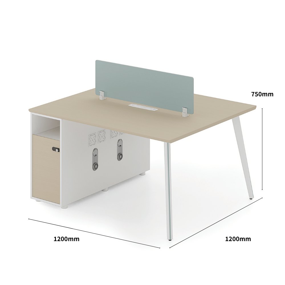 Shine-A Office Desk Metal Frame Workstation with Storage Cabinet