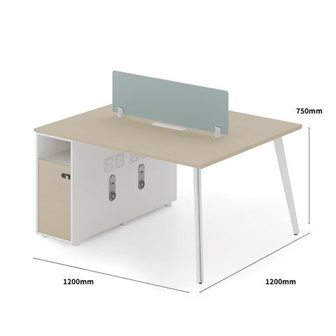 Shine-A Office Desk Metal Frame Workstation with Storage Cabinet