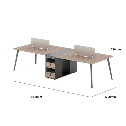 Shine-A Office Desk Metal Frame Workstation with Storage Cabinet