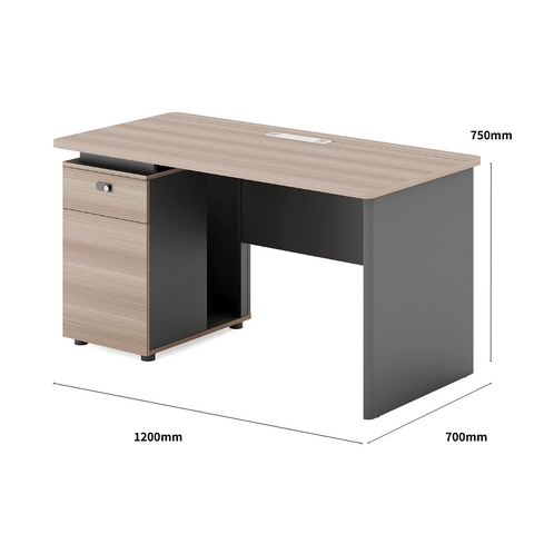 Shine-B Wooden Office Small Manager Desk with Storage Cabinet