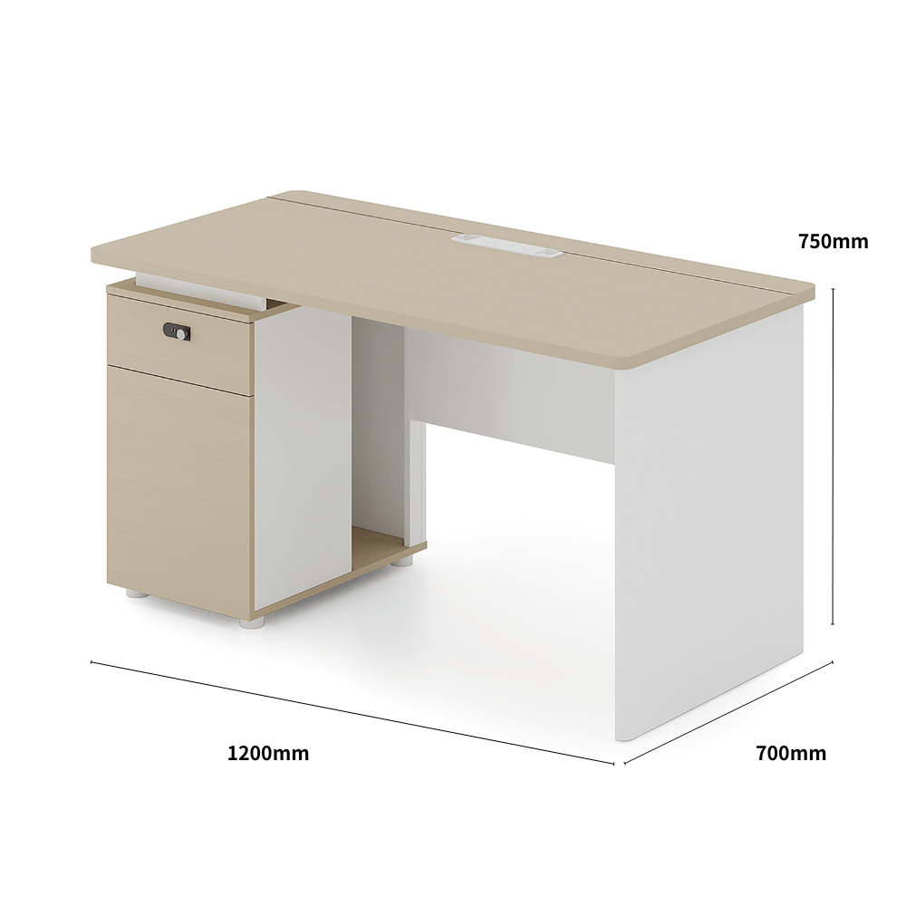 Shine-B Wooden Office Small Manager Desk with Storage Cabinet