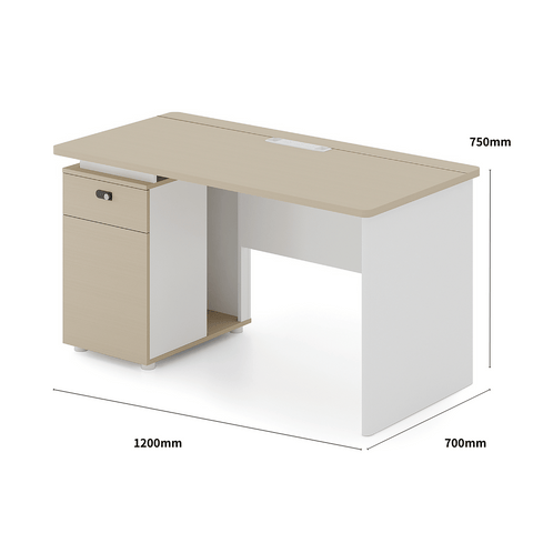Shine-B Wooden Office Small Manager Desk with Storage Cabinet