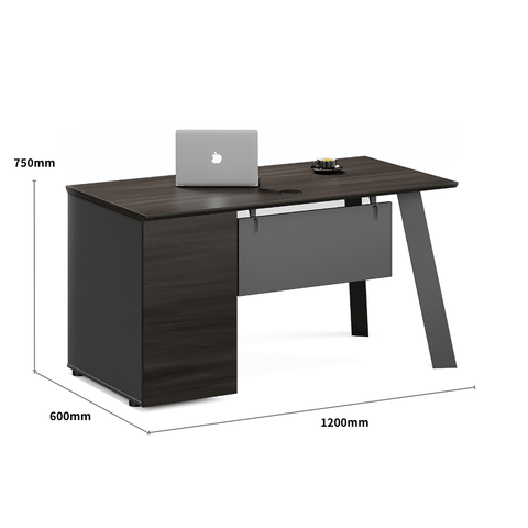 Summit Modern Office Desk with Storage Cabinet