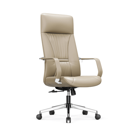 Treasure High Back Office Leather Executive Chair