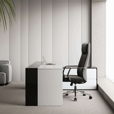 Treasure High Back Office Leather Executive Chair