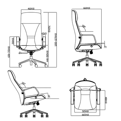Treasure High Back Office Leather Executive Chair
