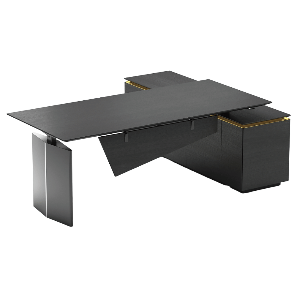 Vision-D Premium Modern Executive Electric Standing Desk