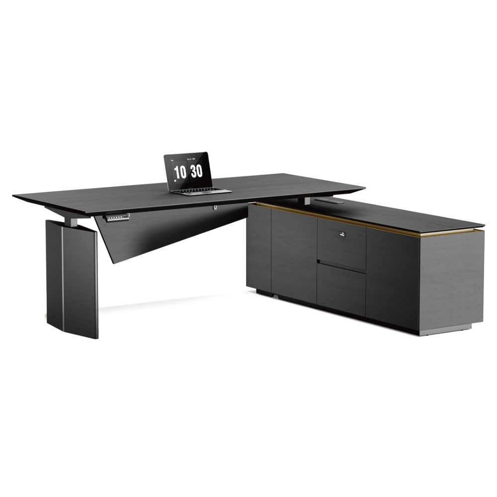 Vision-D Premium Modern Executive Electric Standing Desk