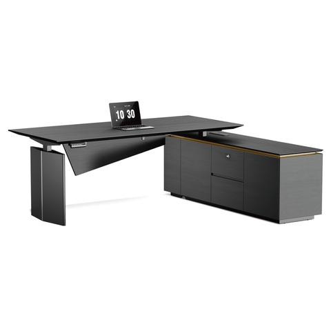 Vision-D Premium Modern Executive Electric Standing Desk