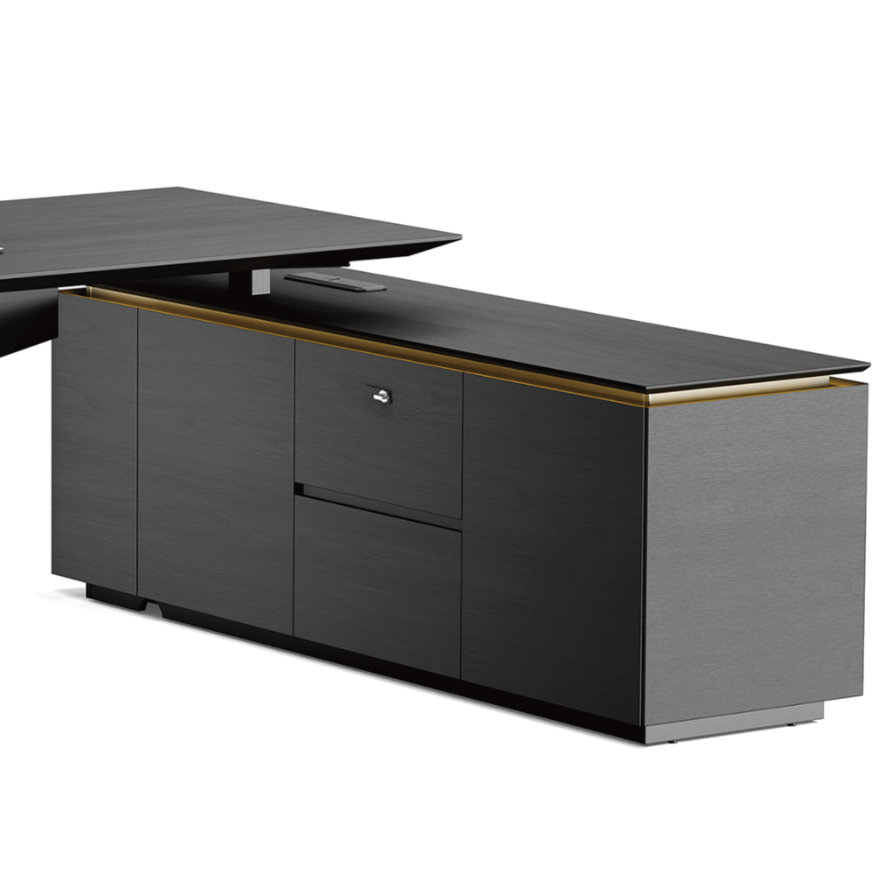 Vision-D Premium Modern Executive Electric Standing Desk