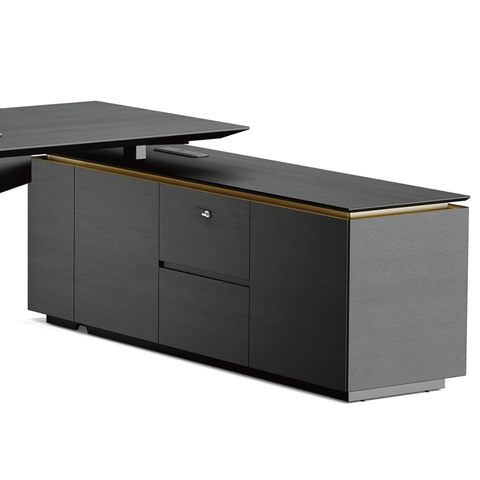 Vision-D Premium Modern Executive Electric Standing Desk