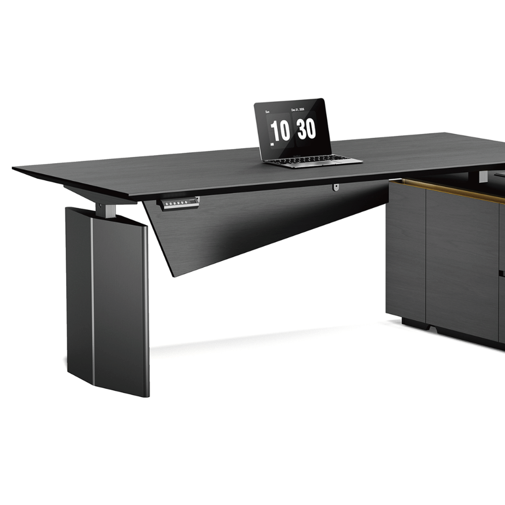 Vision-D Premium Modern Executive Electric Standing Desk