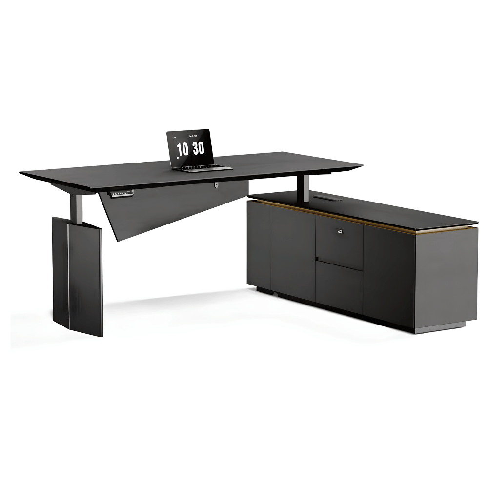 Vision-D Premium Modern Executive Electric Standing Desk
