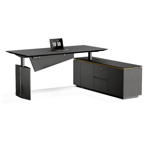 Vision-D Premium Modern Executive Electric Standing Desk