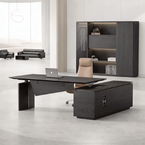 Vision-D Premium Modern Executive Electric Standing Desk